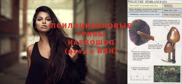 дживик Елизово