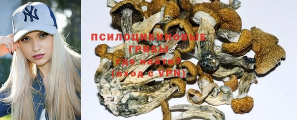 меф Ельня