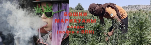 меф Ельня