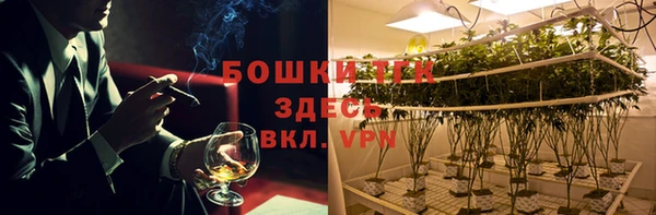 меф Ельня