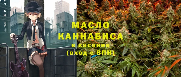 меф Ельня