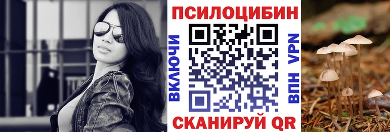 Галлюциногенные грибы Psilocybe  Омутнинск 